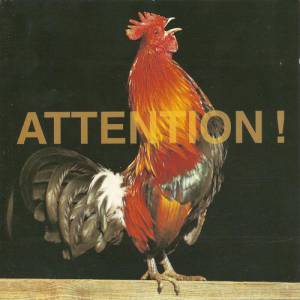 Album Attention! - Tata Bojs
