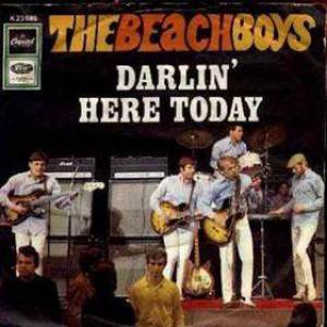 Album Beach Boys - Darlin