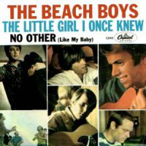 Album Beach Boys - The Little Girl I Once Knew