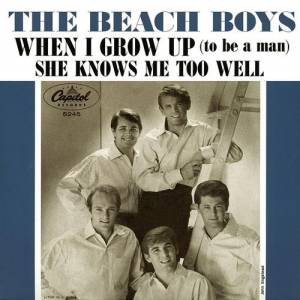 Beach Boys When I Grow Up (To Be A Man), 1964
