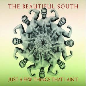 The Beautiful South : Just a Few Things That I Ain't