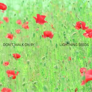 Album The Lightning Seeds - Don