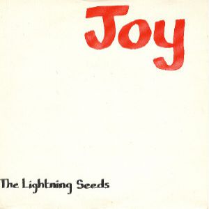 The Lightning Seeds Joy, 1989