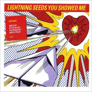 Album The Lightning Seeds - You Showed Me