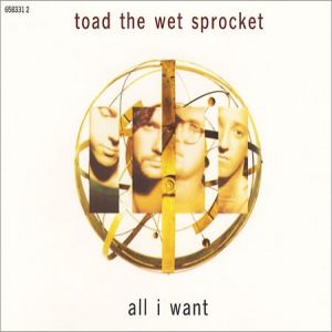 Toad The Wet Sprocket All I Want, 1992
