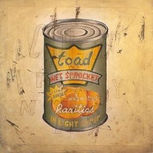 Toad The Wet Sprocket In Light Syrup, 1995