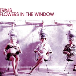 Travis Flowers In The Window, 2002