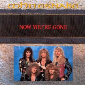 Whitesnake Now You're Gone, 1990