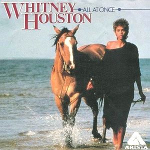 Album Whitney Houston - All at Once