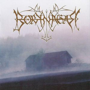 Borknagar - album