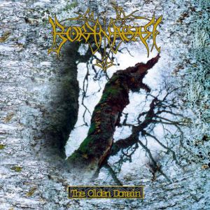 Album Borknagar - The Olden Domain