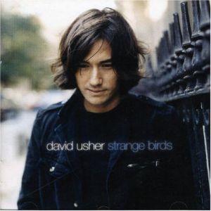Album David Usher - Strange Birds