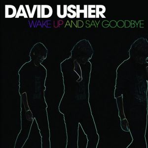 Album David Usher - Wake Up and Say Goodbye