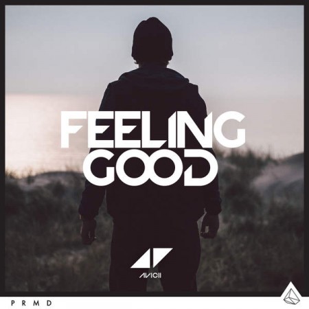 Album Avicii - Feeling Good