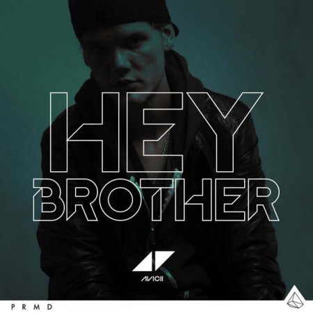 Avicii Hey Brother, 2013