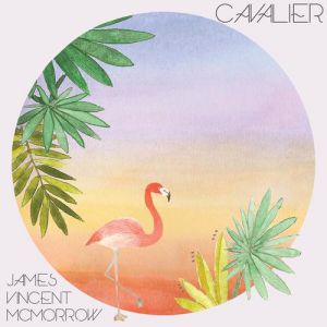 Album James Vincent McMorrow - Cavalier