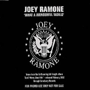Joey Ramone : What a Wonderful World