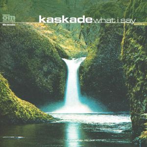 Album Kaskade - What I Say