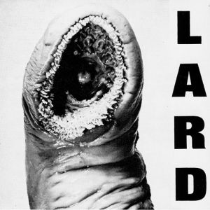 Album The Power of Lard - Lard