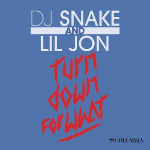 Lil Jon Turn Down for What, 2013