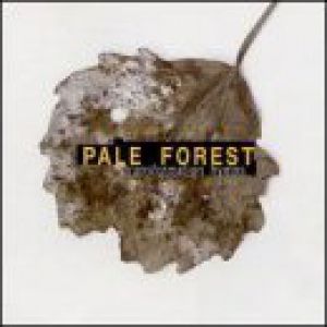 Album Pale Forest - Transformation Hymns