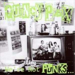 We're Not Punks... But We Play Them On TV Album 