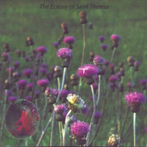 Album The Ecstasy of Saint Theresa - free-d