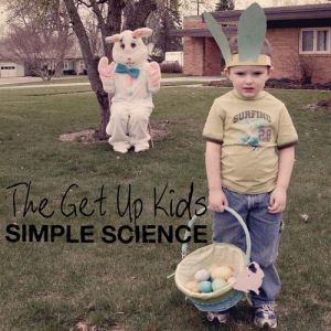 Album The Get Up Kids - Simple Science
