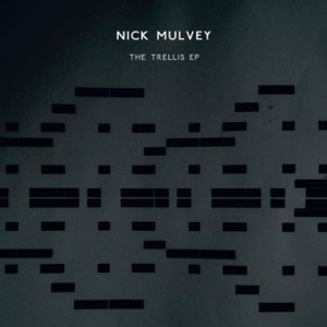 Nick Mulvey The Trellis, 2012