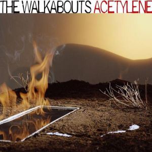 The Walkabouts Acetylene, 2015