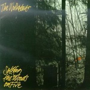 Album The Walkabouts - Setting the Woods on Fire