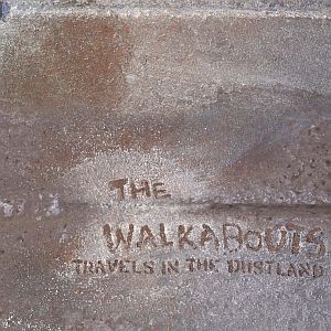 Album Travels in the Dustland - The Walkabouts