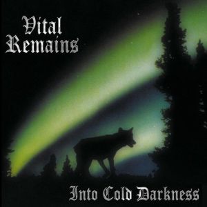 Album Vital Remains - Into Cold Darkness