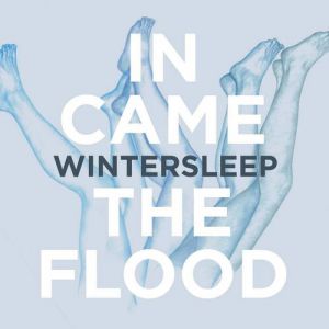 Album Wintersleep - In Came the Flood