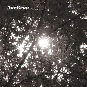 Album Ane Brun - Big in Japan