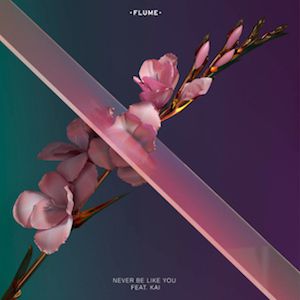 Album Flume - Never Be Like You