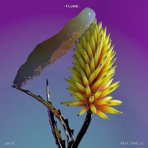 Album Flume - Say It