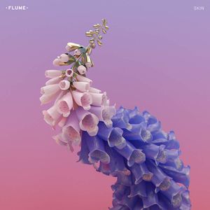 Album Flume - Skin