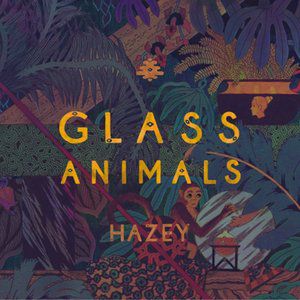 Glass Animals : Hazey