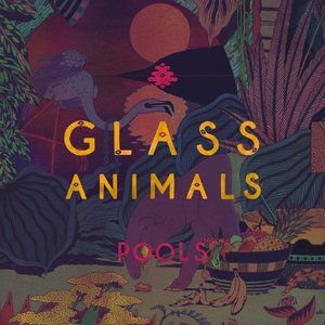 Album Glass Animals - Pools