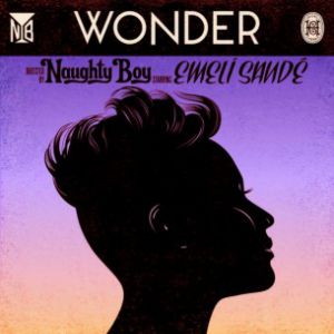 Album Naughty Boy - Wonder