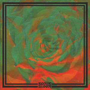 Album Night Beats - Sonic Bloom