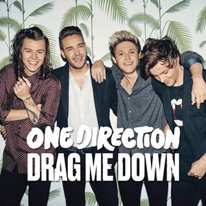 One Direction Drag Me Down, 2015