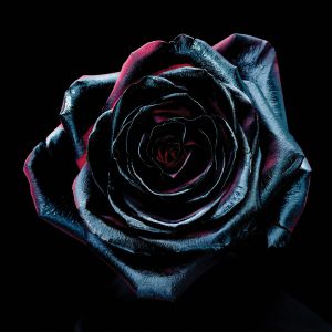 Album Reece Mastin - Change Colours