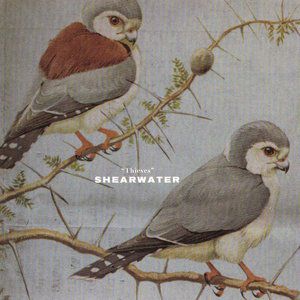 Album Thieves - Shearwater