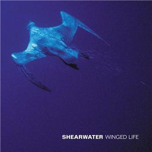 Album Winged Life - Shearwater