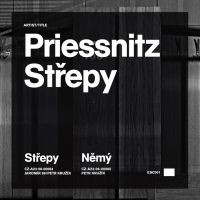 Album Střepy/Němý - Priessnitz