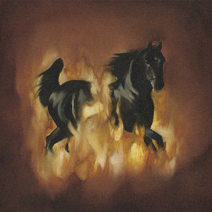 Album The Besnard Lakes - The Besnard Lakes Are the Dark Horse