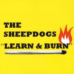 Album The Sheepdogs - Learn & Burn