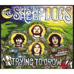 The Sheepdogs : Trying to Grow